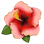 Hibiskus emotikona U+1F33A